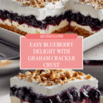 Blueberry Delight Recipe