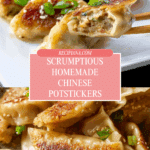 Chinese Dumplings (Potstickers) Recipe