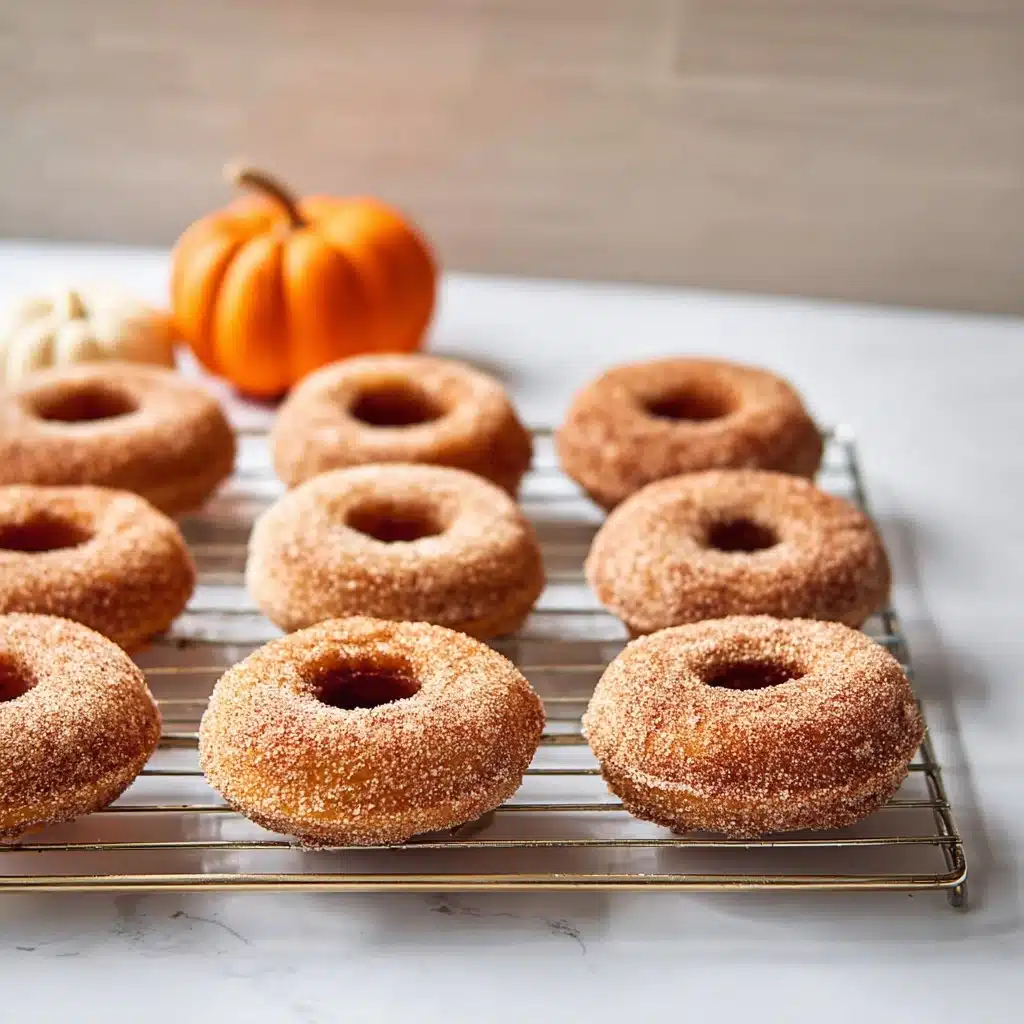 Pumpkin Spice Baked Donuts Recipe - Recipe Image