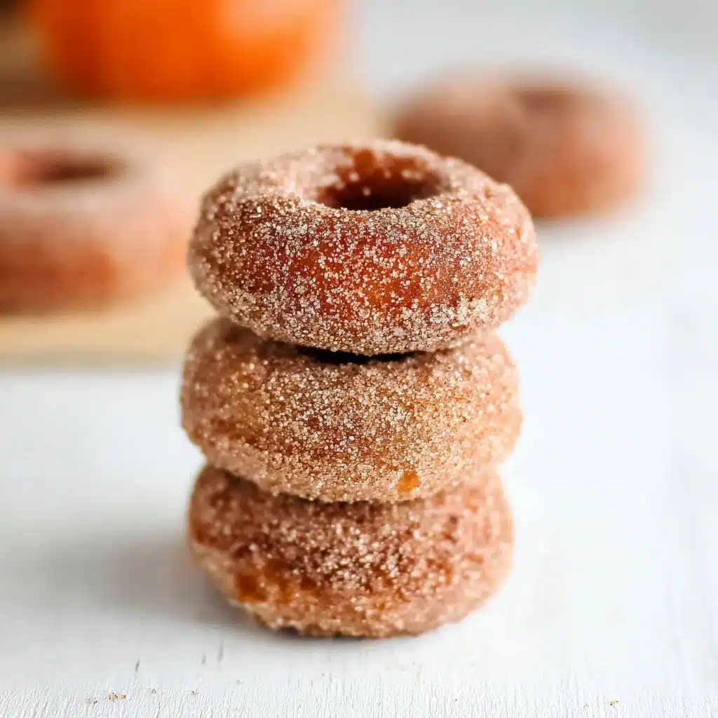 Pumpkin Spice Baked Donuts Recipe - Recipe Image