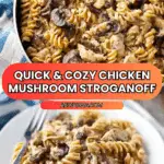 Healthy 20-Minute Chicken and Mushroom Stroganoff Recipe
