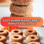 Pumpkin Spice Baked Donuts Recipe