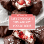 Chocolate Strawberry Frozen Yogurt Bites Recipe