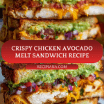 Chicken Avocado Melt Sandwich Recipe