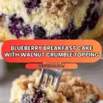 Blueberry Breakfast Cake Recipe