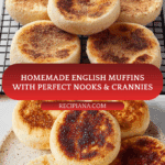 Homemade English Muffins Recipe