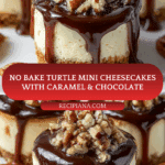 No Bake Turtle Mini Cheesecake Recipe