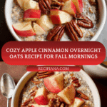 Apple Cinnamon Overnight Oats Recipe