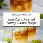 Zesty Dark and Stormy Recipe