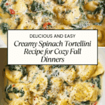 Creamy Tortellini With Spinach: The Amazing Ultimate Recipe
