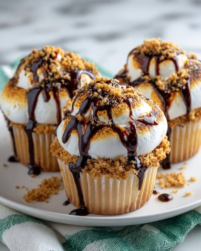 Decadent Gooey Toasted S’mores Cupcakes Recipe